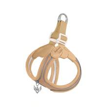 Pet Harnesses - Yellow Chest and Back Brace With Rope - View 10