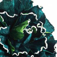 1pc Elegant Flower Fascinators Hat For Women Big EVA Flower Cocktail Fascinator Headwear Wedding Tea Party Hats Prom Hair - A - View 7