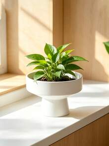 1件極簡黑/白色高腳花盆，寬淺底高腳設計水培容器，植物容器，多肉盆栽附架，適用於戶外、花園、陽台、花盆、居家裝飾、桌面收納、萬聖節、聖誕節 - 多色 - 查看 2