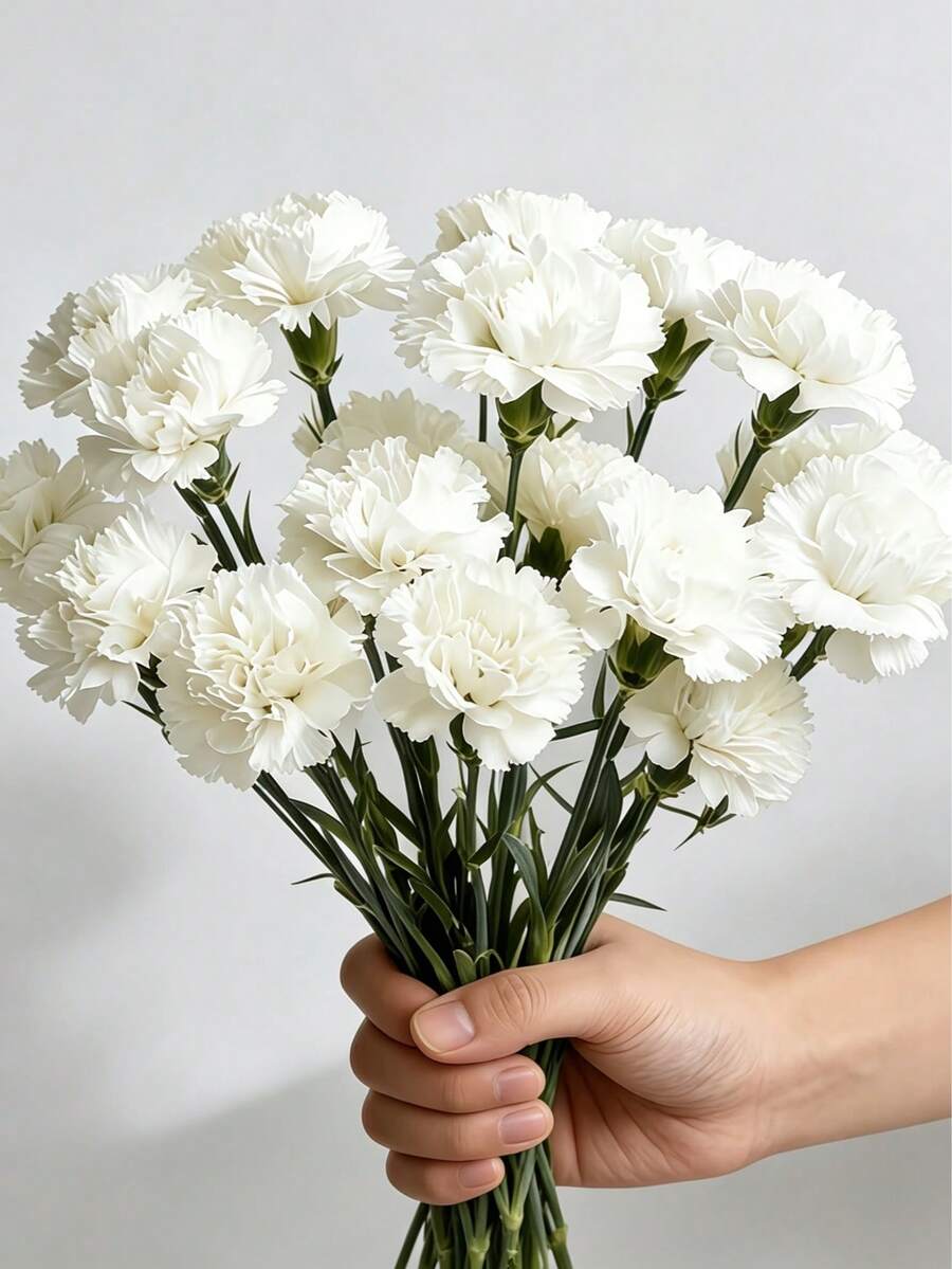 10/20/30朵人造絲綢康乃馨花，絲綢質感花莖，不含花瓶，仿真花適用於墓地花圈葬禮裝飾、婚禮花束新娘派對中心裝飾、母親節情人節教師節禮物、DIY手工與拍照背景裝飾