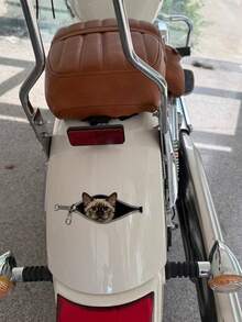 Realistischer Reißverschluss-Späh-Aufkleber mit deutscher Lockenkatze, Vinyl-Aufkleber, geeignet für Autos, Elektrofahrräder, Motorräder, Wanddekoration, Kratzerabdeckung - Verschiedenfarbig - Übersicht 3