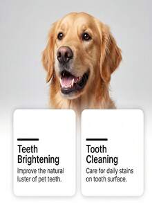 Pet Oral Care Spray, Best-Selling, Gentle Care For Pet Oral Freshness And Comfort, Fresh Breath, Daily Care, Oral Spray, 0 Distance For Cat And Dog Lovers, Natural Ingredients For Teeth Cleaning And Odor Prevention, Gentle Formula, No Rinsing Required, For Licking, Convenient And Quick, Say Goodbye To Brushing Difficulties - Violet Purple - View 3