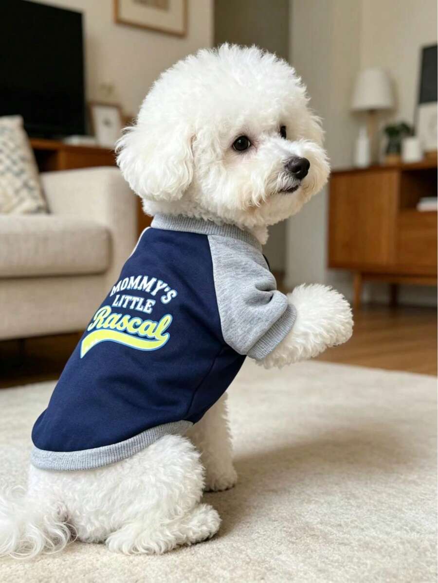 Internet Celebrity Dog Raglan Baseball Shirt, Bichon Teddy Small-Medium ...