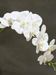 1 Peça Ramo Artificial Grande de Orquídea Phalaenopsis, Arranjo Floral para Decoração de Casa, Decoração de Casamento, Suprimentos para Festa de Festival, Haste de Orquídea Falsa Branca Premium com Toque Real, Spray de Orquídea Flexível e Dobrável com Botões Naturais, Ramo de Orquídea Artificial Sem Manutenção para Mesa de Jantar, Lobby de Hotel, Centro de Casamento, Decoração de Interiores Minimalista e Presente Ideal, Decoração de Casa, Decoração de Quarto - Branco - Visão 3