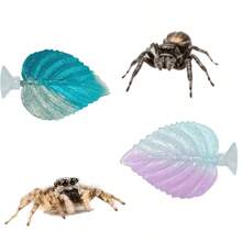 2PCS Jumping Spider Gradient Leaf Shaped Habitat, Hanging Installation Decor Set Pet Spider Hideout, Jumping Spider Fence Ornament, Reptile Hideout, Small Reptile Hiding Spot, Perfect Habitat Decoration For Insects, Used For Daily Resting, Hiding, Climbing, Exploring And Playing, Suitable For Aquarium Or Terrarium Decoration - View 5