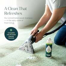 Puracy Carpet Cleaner Solution - Carpet Shampoo, Pet Stain And Odor Remover, Rug And Upholstery Cleaner, 4X Concentrated, Low Foam Shampooer Formula, Fresh, 25oz - Citrus - View 2