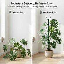 Monstera Moss Pole With Ties, Stackable Support Pole To Increase Height For Different Growth Stages, Special Design, Secure And Easy To Use, For Plants - Multicolor - View 5