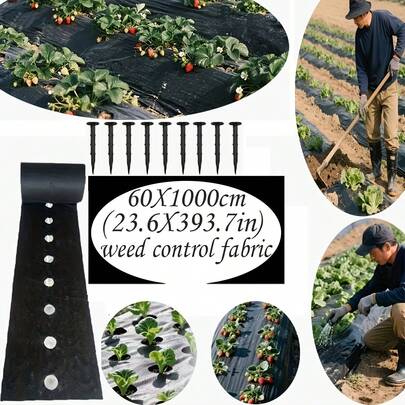 Heavy-Duty Perforated Grass Barrier Suitable For Garden Ground Cover, Strawberry & Tomato Vegetable Beds - Breathable Water-Permeable PP Fabric With 3.15inch Hole Diameter, Grass For Lawn, Soil, Irrigation Systems