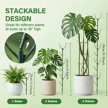 Monstera Moss Pole With Ties, Stackable Support Pole To Increase Height For Different Growth Stages, Special Design, Secure And Easy To Use, For Plants - Multicolor - View 3