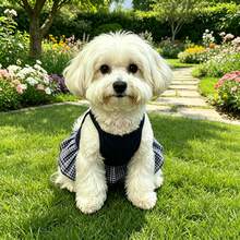1件裝狗狗春夏薄款透氣吊帶背心洋裝，適合小型犬與貓，幼犬衣物，寵物狗衣，貓咪用品，寵物狗，狗狗衣服，貓咪用品，小型犬，狗狗衣物，優雅派對洋裝，洋裝，貓咪衣物，吉娃娃，臘腸狗，寵物衣物，吉娃娃狗衣，兔子 - 彩色 - 查看 5