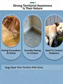 Cat And Dog Potty Training Spray, Gentle Formula, Pet Urination And Defecation Spotting Spray, Indoor And Outdoor Use - 100ml - View 9