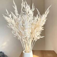 25/50pcs Artificial Realistic White Oats, Valentine's Day Gift, Photography Props, Suitable For Bohemian Style Room Floral Decoration, Wedding Vase, Bedroom Floor Decoration - White - View 7