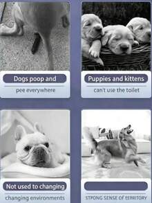 Cat And Dog Potty Training Spray, Gentle Formula, Pet Urination And Defecation Spotting Spray, Indoor And Outdoor Use - 100ml - View 7