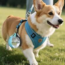 1pc Portable Pet Water Bottle Drinking Cup For Cats And Dogs, Outdoor Water Dispenser, Stainless Steel Spherical Refillable Hanging Bottle - Baby Blue - View 3