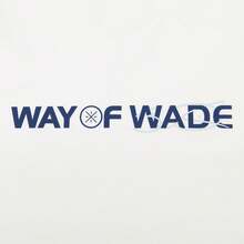 Li-Ning Way Of Wade Quick-Dry Reflective T-Shirt ATSW089, Men's Ice-Cool Breathable Basketball & Outdoor Top - White - View 6