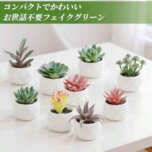 フェイクグリーン インテリアグリーン 多肉植物 人工 お世話不要 卓上 ミニ 鉢植え デコレーション かわいい 玄関 デスク バスルーム キッチン Type 10インテリア オブジェ   インテリア 雑貨 - タイプ1 - チェックする 2