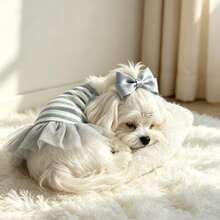 Holdhoney Grey & White Ribbed Mesh Pet Princess Dress, Maltese Teddy Summer Ribbed Strap Tulle Dress, Breathable Dog Dress For Small To Medium Dogs, Gentle Korean INS Style Pet Dress For Photoshoots - Light Grey - View 7