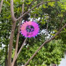 Colorful 3D Metal Dragonfly Wind Chime - Exploding Dragonfly - Outdoor Garden Decoration, No Electricity Required - Suitable For Patio, Yard And Christmas Decoration As A Gift - Colorful Exploding Dragonfly - View 3