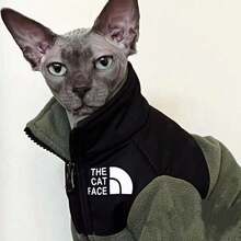 6 Colors Optional Cat Fleece Jacket, Thick Warm, Sphynx Devon Rex, Outdoor & Indoor, Anti-Shedding, Belly Protection, High Quality - Green - View 5
