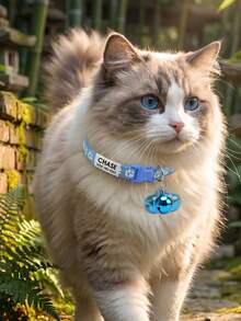 Collier pour chat personnalisé avec motif empreinte de patte, en nylon, personnalisable avec le nom de l'animal de compagnie, les coordonnées, l'adresse, médaille anti-perte en acier inoxydable gravée, pour chats de petite et moyenne taille, ornemental, vintage, mignon, Cuties, pour les amoureux des animaux, cadeau de Noël - Multicolore - Voir 7