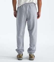 THE NORTH FACE Men's Evolution Simple Dome Pant| Elastic Waistband With Adjustable Drawcord, Hand Pockets, Elasticated Cuffs-Father's Day WLXK - TNF淺灰色石楠 - 查看 6
