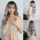 WL1202-1