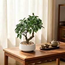 Desktop Decorations - As Pic - View 7