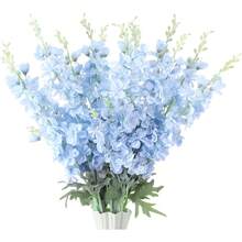 Baby Blue