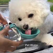 1pc Portable Pet Water Bottle, Hanging Ball-Shaped Refillable Folding Water Dispenser, Outdoor Cat And Dog Water Bowl, Feeding Water Bottle, Outdoor Water Storage Tool - Multicolor - View 7
