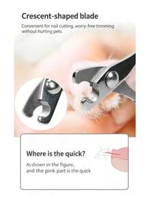 3pcs/1pc Set Curved Pet Nail Clipper, Small Hole Design To Prevent Cutting Blood Line, Nail Trimmer For Cats, Dogs, Puppies, Rabbits And Guinea Pigs, Multi-Color Soft Grip Handle Pet Grooming Tool, Cat Accessories, Rabbit Pet Supplies, Dog Essential, Puppy Essential, Saudi Arabia National Day Gift, Christmas Gift, Halloween Gift - A - View 2