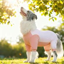 Pink Pet Outdoor Sun Protection/Dirt-Proof Four-Legged Jumpsuit, Lightweight And Soft Fabric With Cool Touch, Suitable For Medium To Large Dog Breeds - Pink - View 5