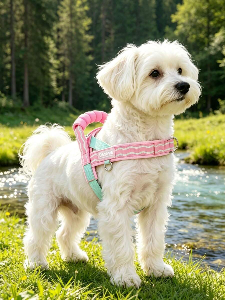 DomKim Anti-Pull Dog Harness, Breathable Mesh Padded Reflective Slip-On Vest Harness, Adjustable Escape-Proof Soft Chest Strap, Suitable For Puppies, Small And Medium Dogs, Outdoor Walking Pet Supplies
