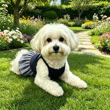 1件裝狗狗春夏薄款透氣吊帶背心洋裝，適合小型犬與貓，幼犬衣物，寵物狗衣，貓咪用品，寵物狗，狗狗衣服，貓咪用品，小型犬，狗狗衣物，優雅派對洋裝，洋裝，貓咪衣物，吉娃娃，臘腸狗，寵物衣物，吉娃娃狗衣，兔子 - 彩色 - 查看 6