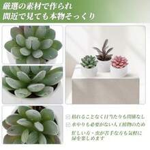 フェイクグリーン インテリアグリーン 多肉植物 人工 お世話不要 卓上 ミニ 鉢植え デコレーション かわいい 玄関 デスク バスルーム キッチン Type 10インテリア オブジェ   インテリア 雑貨 - タイプ1 - チェックする 5