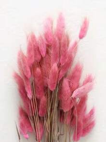 30-240支 17英吋卡其色人造兔尾草花莖，居家裝飾人造兔尾草，適用於波希米亞風花藝插花、DIY手工、居家廚房與婚禮裝飾、聖誕裝飾、聖誕感恩節裝飾、DIY花環裝飾 - 深粉紅色兔尾草 - 查看 2