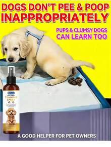 Cat And Dog Potty Training Spray, Gentle Formula, Pet Urination And Defecation Spotting Spray, Indoor And Outdoor Use - 100ml - View 2