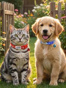 Collier pour chat personnalisé avec motif empreinte de patte, en nylon, personnalisable avec le nom de l'animal de compagnie, les coordonnées, l'adresse, médaille anti-perte en acier inoxydable gravée, pour chats de petite et moyenne taille, ornemental, vintage, mignon, Cuties, pour les amoureux des animaux, cadeau de Noël - Multicolore - Voir 9