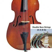 低音大提琴鋼弦，專業樂器配件 - 燃橙色Double Bass Strings - 查看 5