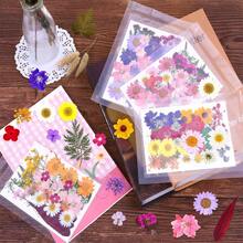 Natural Dried Pressed Flowers, Suitable For Candle Decoration, Resin DIY Crafts, Bookmarks, Jewelry Making, Candle Making, Handmade Soap Making, Phone Cases, Mirror Decoration, Notebooks - C - View 6