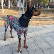 All-Season Pet Tattoo Jumpsuit, Cute And Fun Four-Legged Pet Dog Cat Clothes, Personalized Pet Dress-Up Apparel - Multicolor - View 9