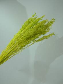 16/31/61/81 piezas Ramo de flores de avena artificial blanca, tallos de trigo de avena falsos blanqueados, adecuado para decoración de boda y Navidad, decoración del hogar DIY, pequeño arreglo floral artificial, decoración de pasteles - Fruta verde - Ver 4