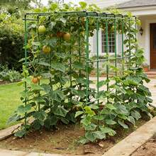 40pcs/Set Green Garden Trellis, Includes 20 Stakes + 10 Connectors + 10 Clips, For Grape, Cucumber, Bean Vine Climbing, Rose Support Pole, Adjustable Height Modular Design, Suitable For Vegetable And Fruit Vine Plants - Stand Combination Kit - View 1