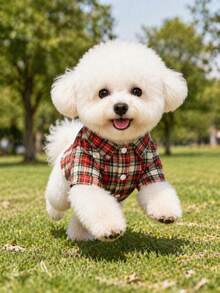 1pc Pet Dog Fashion Minimalist Fresh Style Shirt/Design-Driven Dual-Color Plaid Contrast Line Decor Short Sleeve Shirt/Breathable & Fitted Top/Teddy Corgi Bichon Schnauzer Small Dog Clothing - Multicolor - View 4