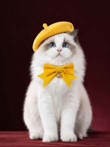 Knitted Beret + Velvet Bow Collar Set, Universal For Cats And Dogs, Photo Prop Accessory - Multicolor - View 6