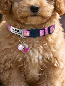 Personalisieren Sie ein leuchtendes Katzenhalsband, das bei Sonnenlicht oder künstlichem Licht leuchtet. Zu den Merkmalen gehören eine erstickungssichere Schnalle, ein wunderschön gefertigter Glockenanhänger und ein personalisierter Hundemarkenanhänger mit dem Namen, der Telefonnummer und der Adresse Ihres Haustiers., Sicherheits-Katzenhalsband - Verschiedenfarbig - Übersicht 7