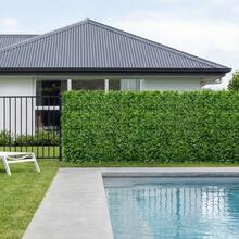 VEVOR Artificial Plant Wall, 12PCS 50.8 X 50.8 Cm Artificial Boxwood Panels, Sun Protection Greenery Backdrop Privacy Hedge Fence, Fake Grass Screen For Wedding, Indoor, Outdoor Garden, Backyard - Fern Leaf, 20*20 Inch, 12 Pcs - View 1