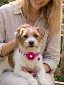 1pc Customized Rhinestone Flower Decor Pet Collar, Cartoon Anti-Choking Buckle Adjustable Size, Suitable For Cats Under 5kg Or Small/Medium Dogs, Personalized Label,Christmas Gift Supplies - Multicolor - View 7