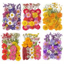 Natural Dried Pressed Flowers, Suitable For Candle Decoration, Resin DIY Crafts, Bookmarks, Jewelry Making, Candle Making, Handmade Soap Making, Phone Cases, Mirror Decoration, Notebooks - C - View 3