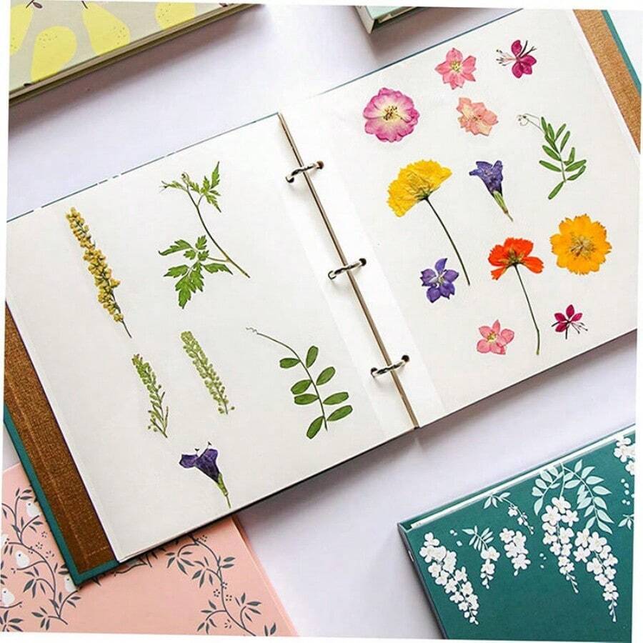Dried Flower Storage Album, Pressed Flower And Leaf Portable Reusable Plant Collection Paper Album DIY - Multicolor - View 1