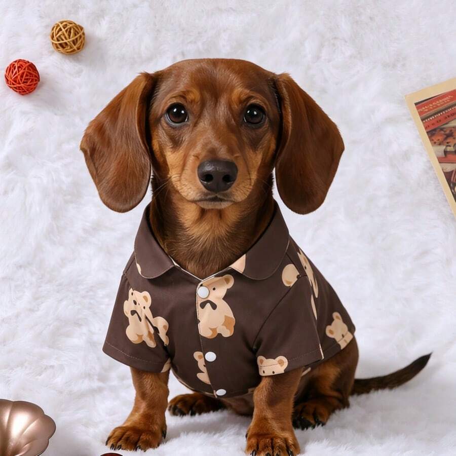 1pc Bear Print Knitted Pet Clothing, Soft Breathable Button Shirt, Suitable For Dogs And Cats, Spring/Summer Wear, Fits Extra Small, Small And Medium Breeds, Compatible With Pomeranian, Chihuahua, Yorkshire Terrier, Dachshund, Poodle And Other Small Dogs/Cats, Daily Wear, Party Outfit And Photo Shoot - Brown - View 1